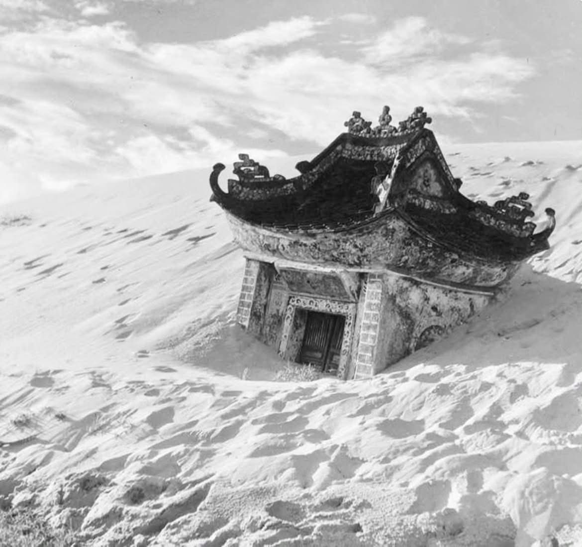 Buddy Up - Chân dung Việt Nam