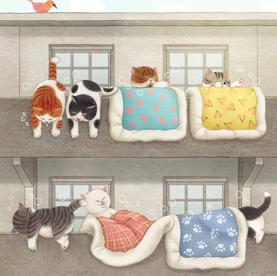 Buddy Up - Tàng hoa cát các