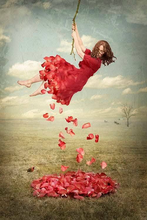 Buddy Up - Tàng hoa cát các