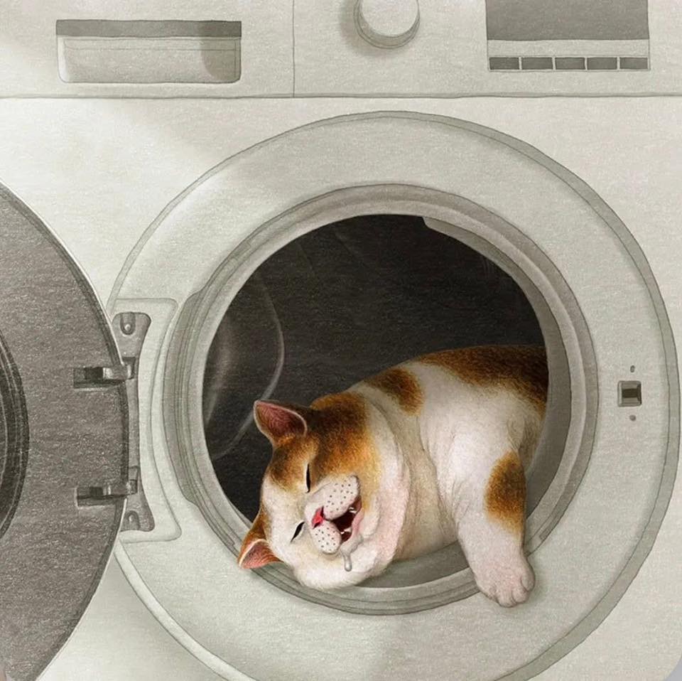 Buddy Up - Tàng hoa cát các