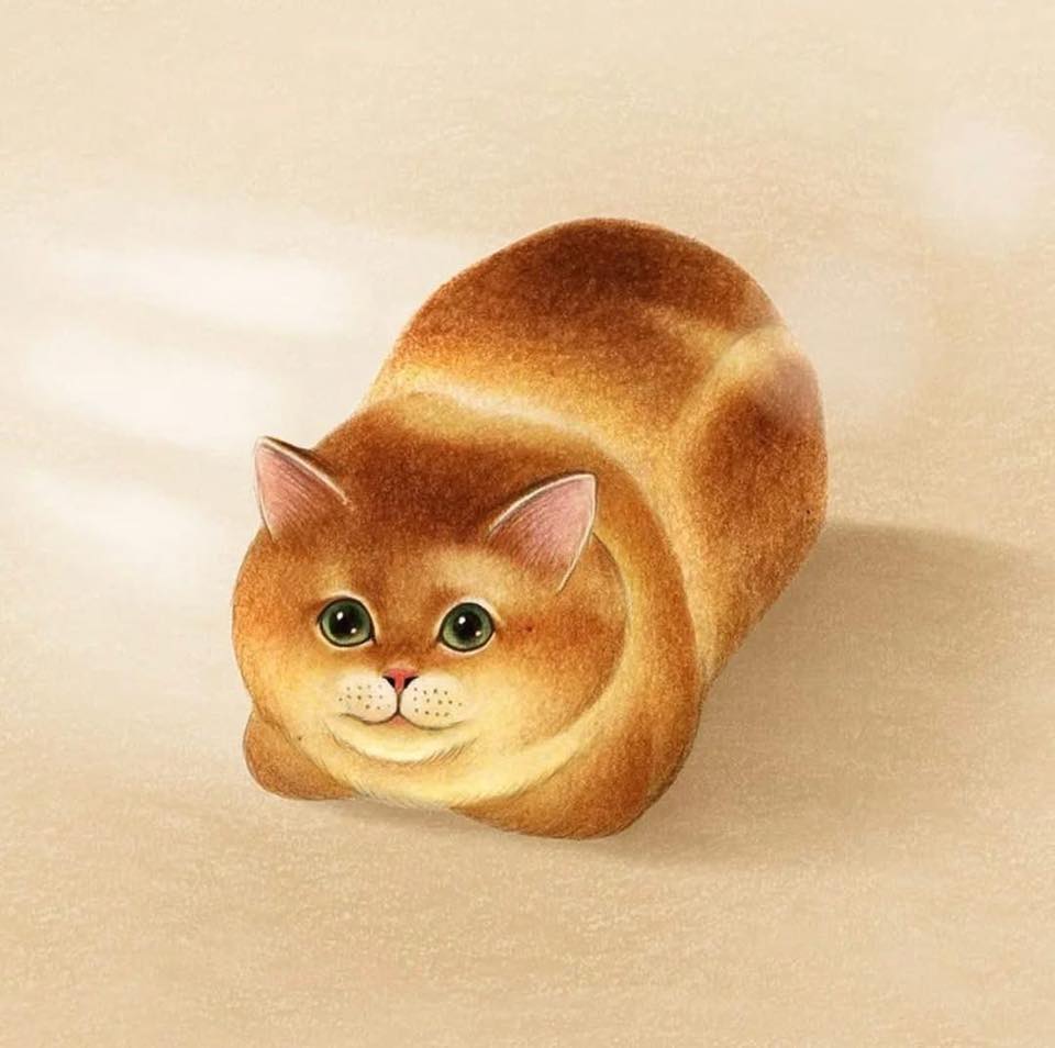 Buddy Up - Tàng hoa cát các